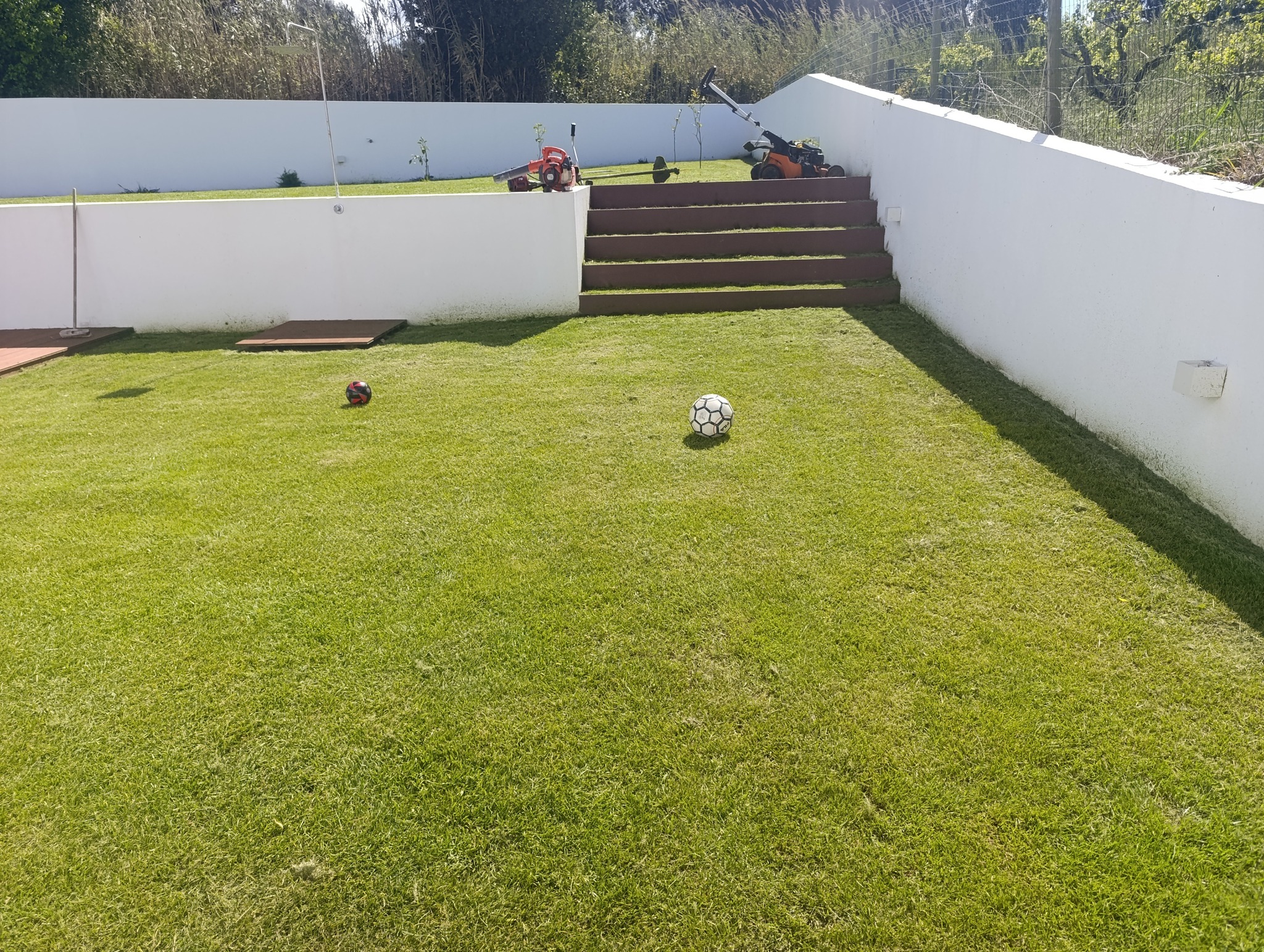 Jardim cuidado